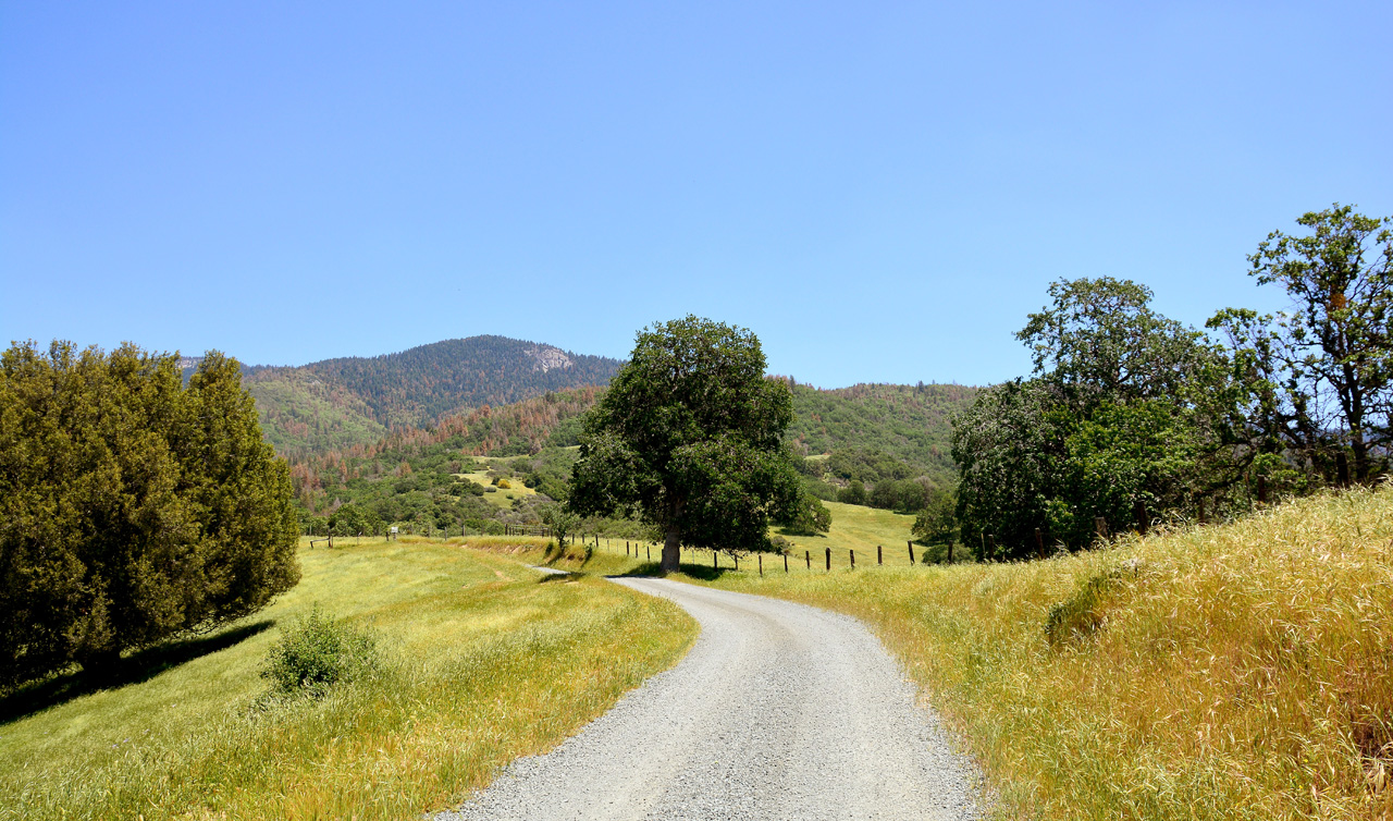 2016-05-19, 022, Ride along Rt 190 & Mtn 50 Sequoia NF