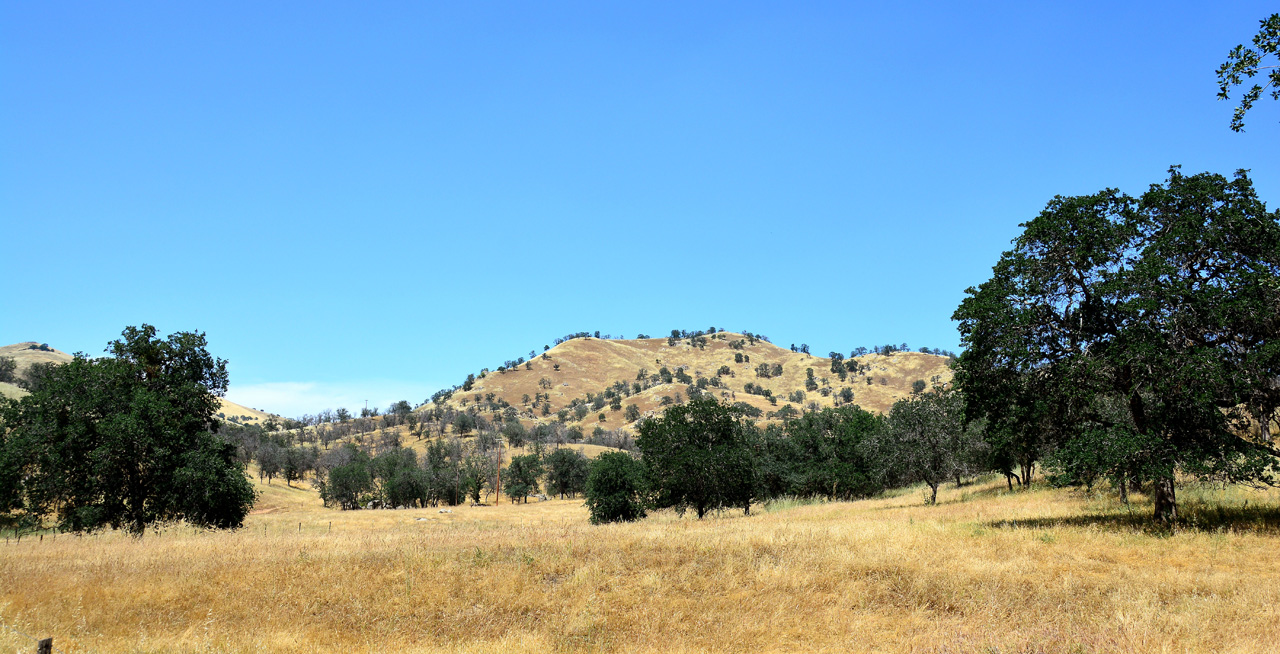 2016-05-19, 023, Ride along Rt 190 & Mtn 50 Sequoia NF