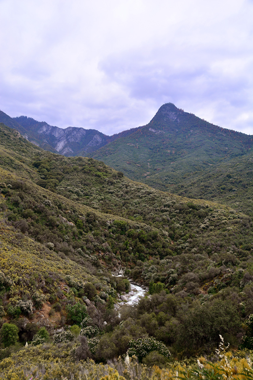 2016-05-22, 008, Sequoia National Park, CA