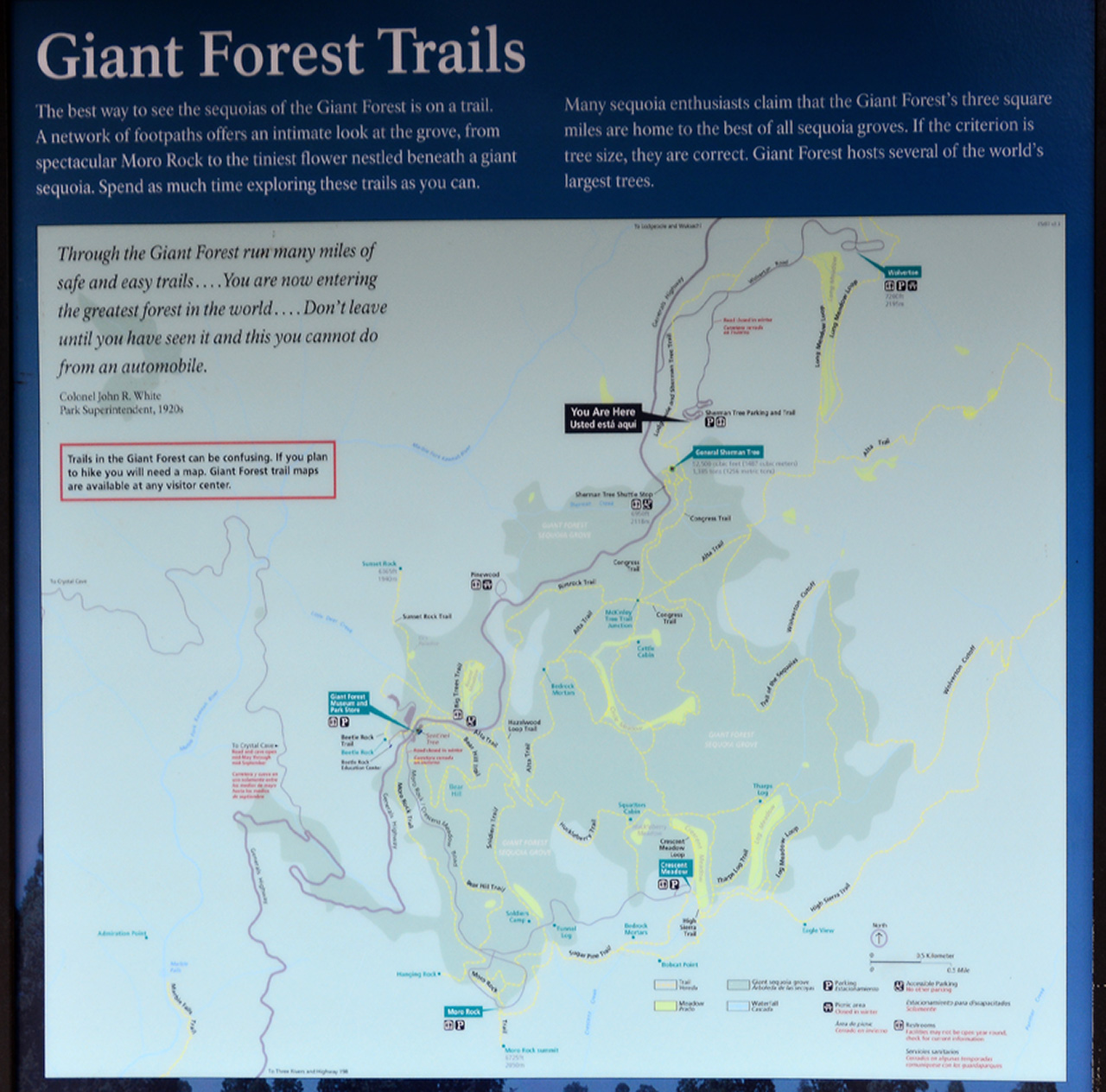 2016-05-22, 023, Sequoia National Park, CA