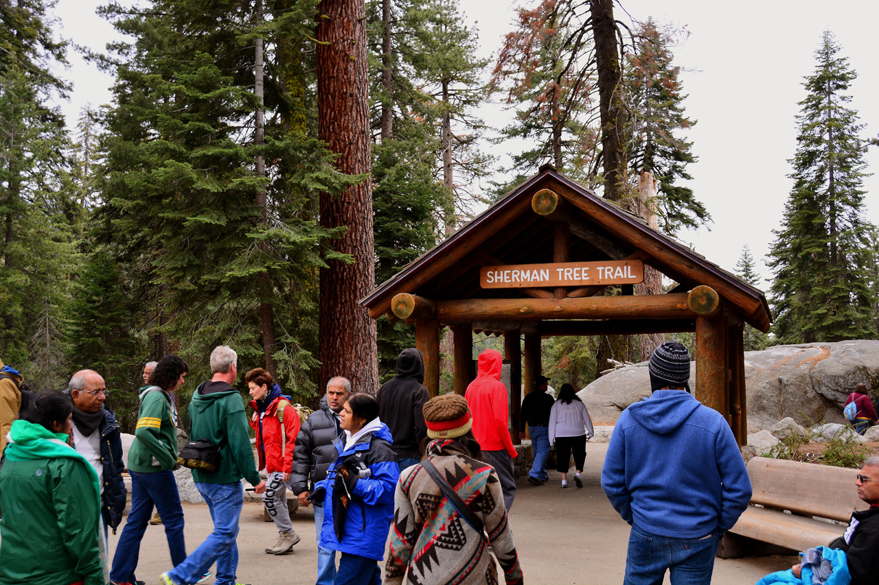 2016-05-22, 024, Sequoia National Park, CA
