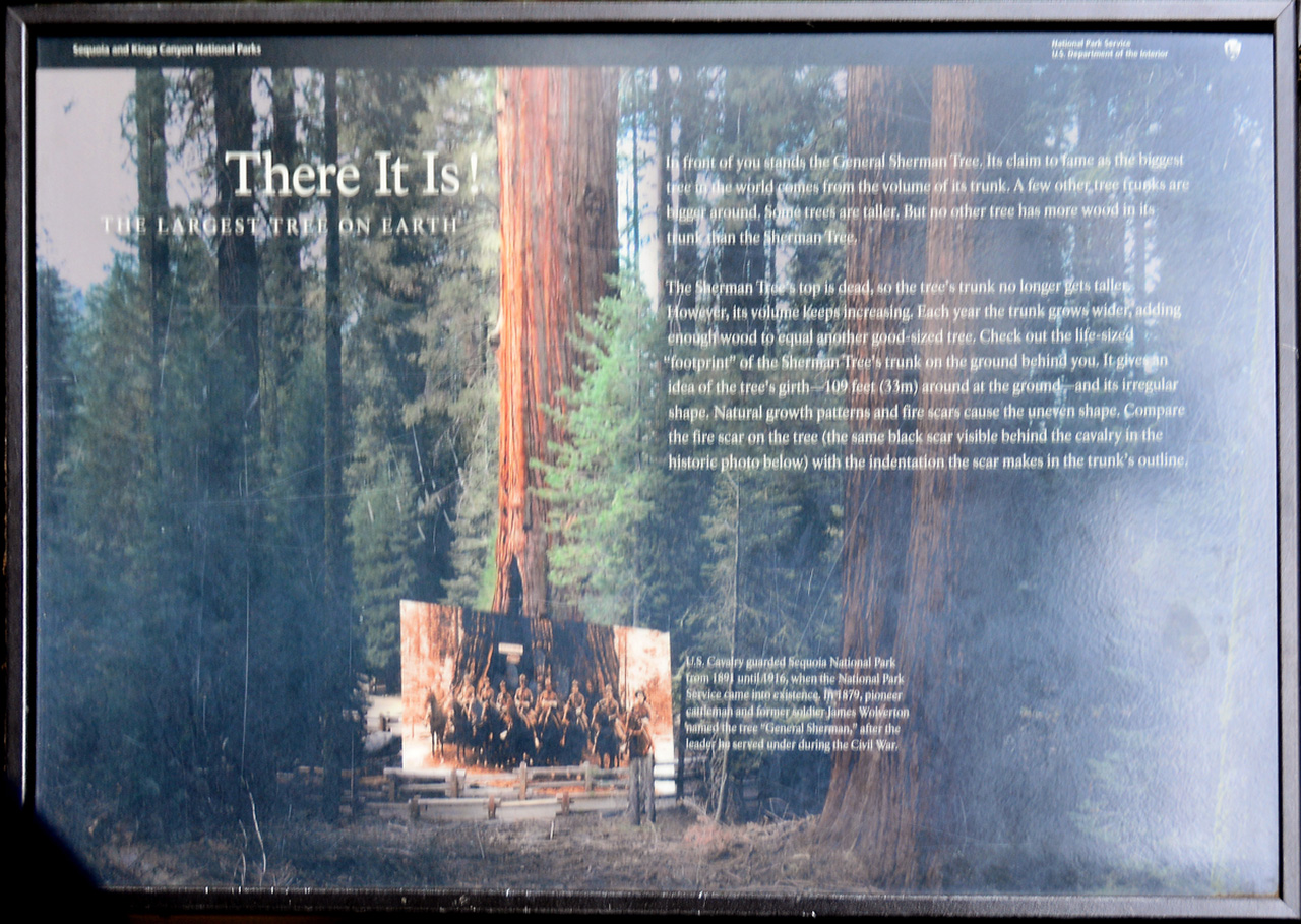 2016-05-22, 025, Sequoia National Park, CA