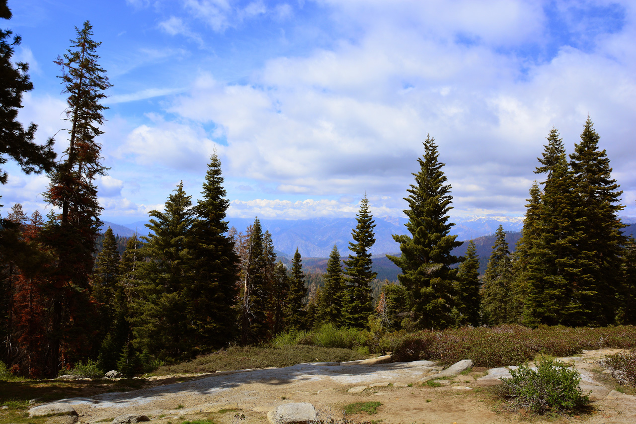 2016-05-22, 029, Sequoia National Park, CA