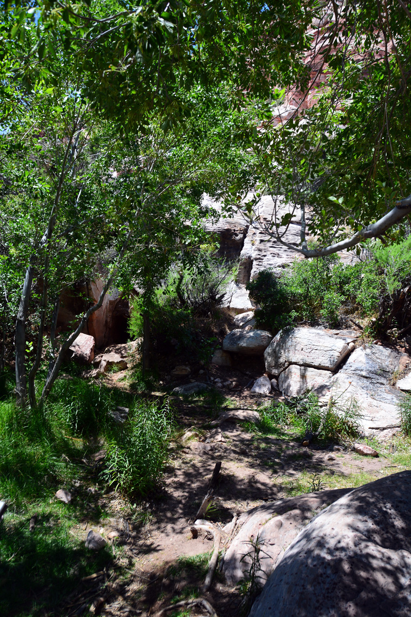 2016-05-31, 006, Red Rock Canyon NRA, NV