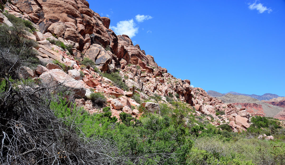 2016-05-31, 009, Red Rock Canyon NRA, NV