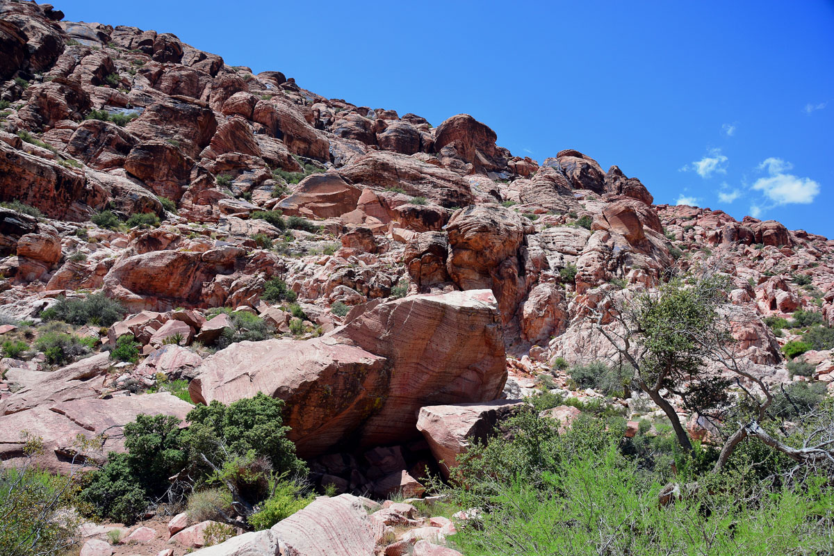 2016-05-31, 011, Red Rock Canyon NRA, NV