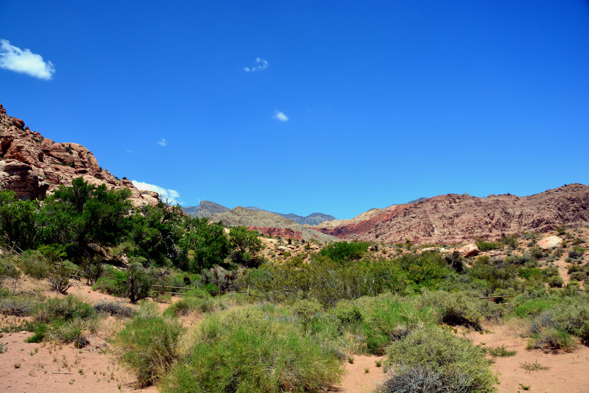 2016-05-31, 012, Red Rock Canyon NRA, NV