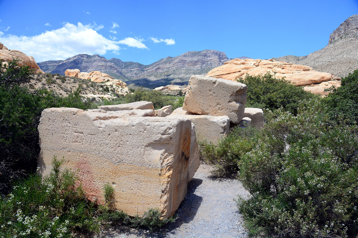 2016-05-31, 032, Red Rock Canyon NRA, NV