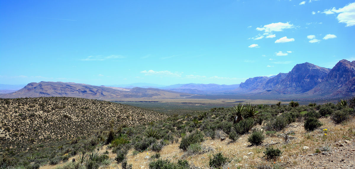 2016-05-31, 038, Red Rock Canyon NRA, NV