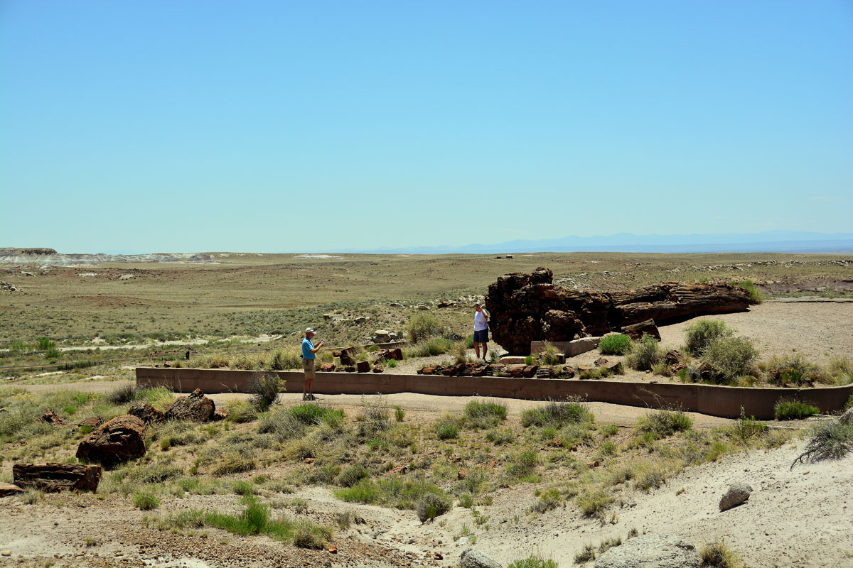 2016-06-03, 024, Petrified Forest, Visitor Area