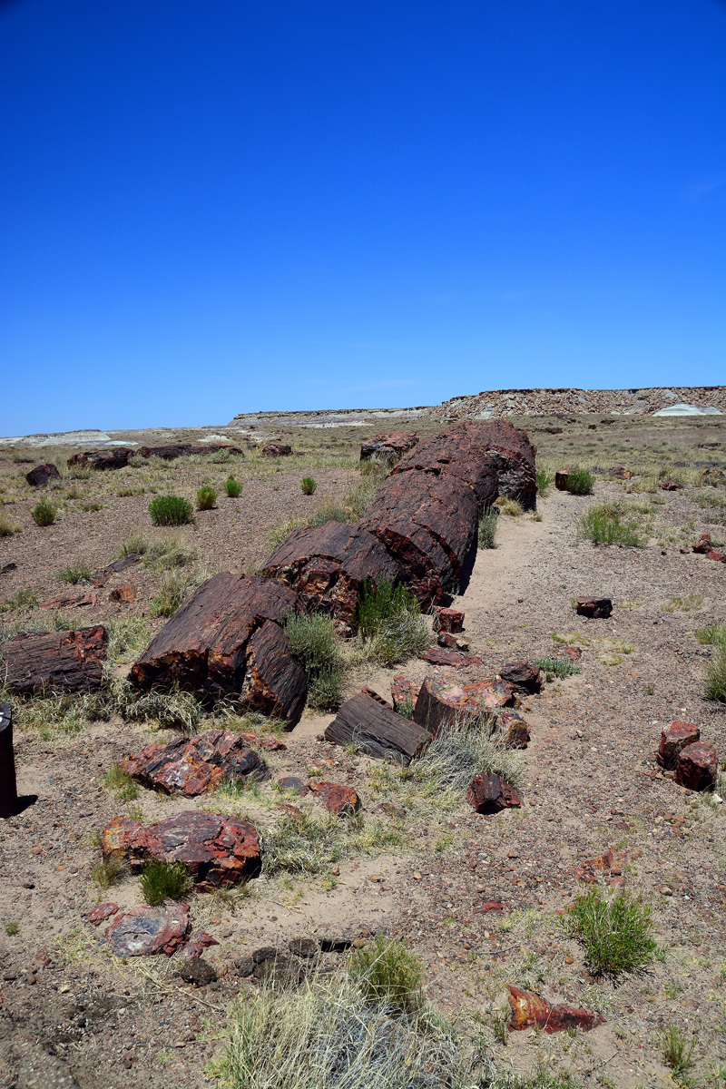 2016-06-03, 025, Petrified Forest, Visitor Area