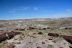 2016-06-03, 018, Petrified Forest, Visitor Area