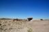 2016-06-03, 019, Petrified Forest, Visitor Area