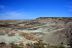 2016-06-03, 033, Petrified Forest