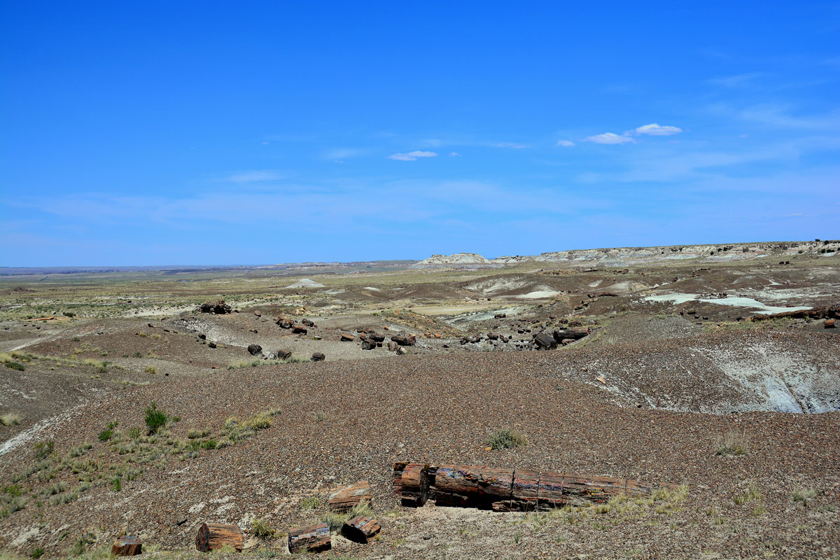 2016-06-03, 050, Petrified Forest, Crystal Forest
