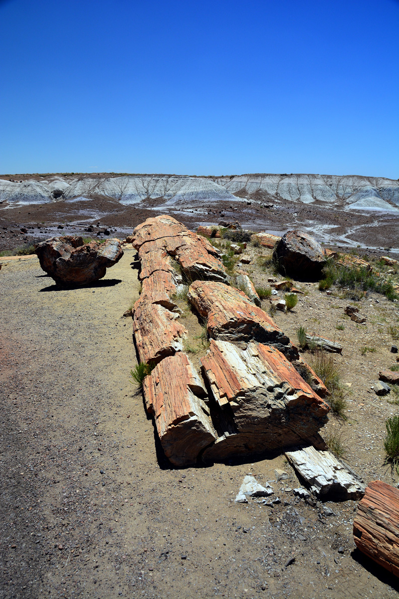 2016-06-03, 054, Petrified Forest, Crystal Forest