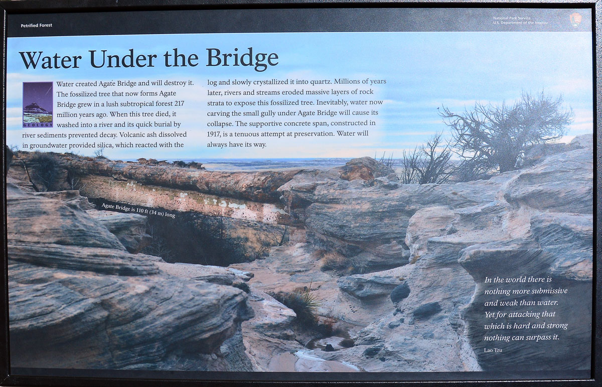 2016-06-03, 064, Petrified Forest, Agate Bridge