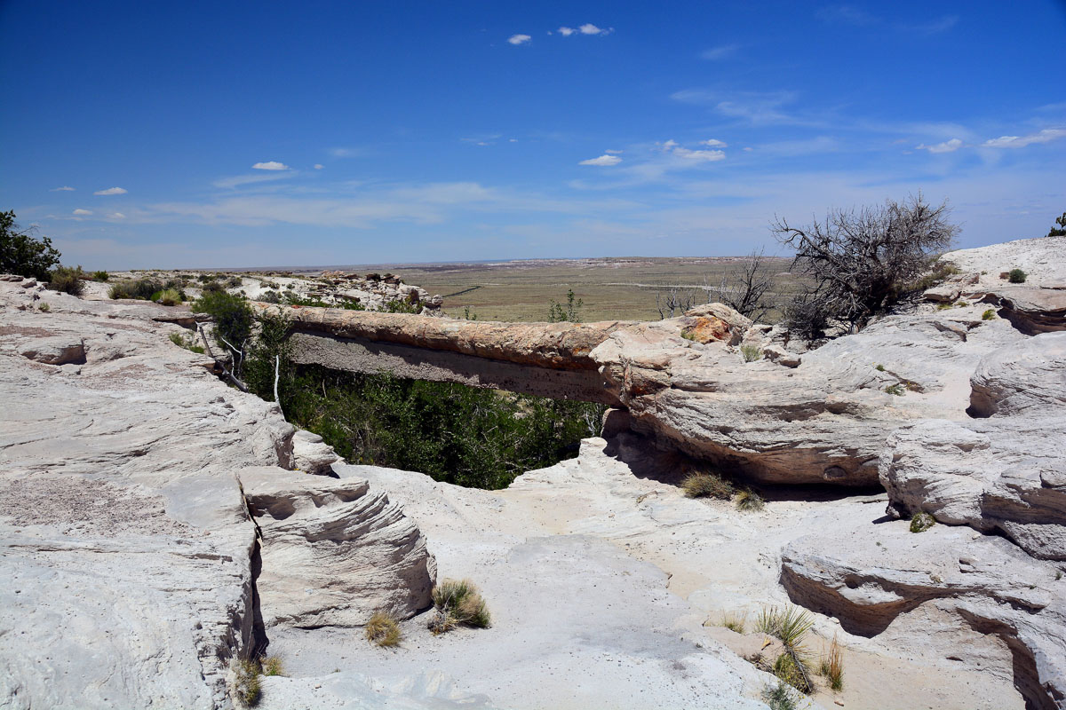 2016-06-03, 065, Petrified Forest, Agate Bridge