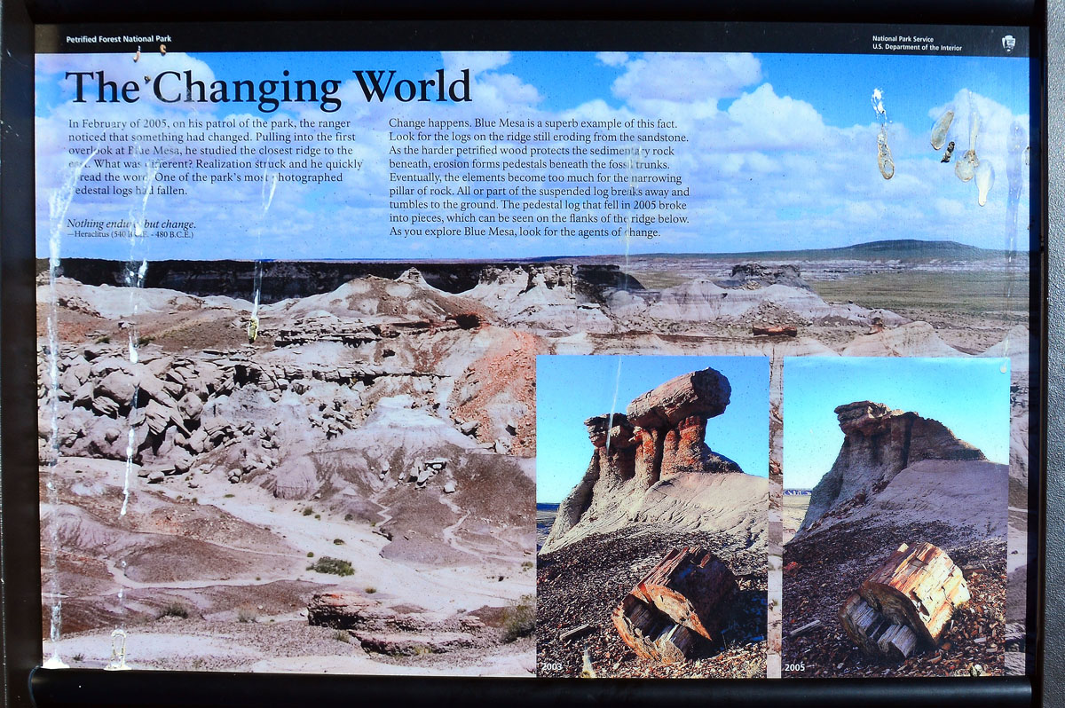 2016-06-03, 068, Petrified Forest