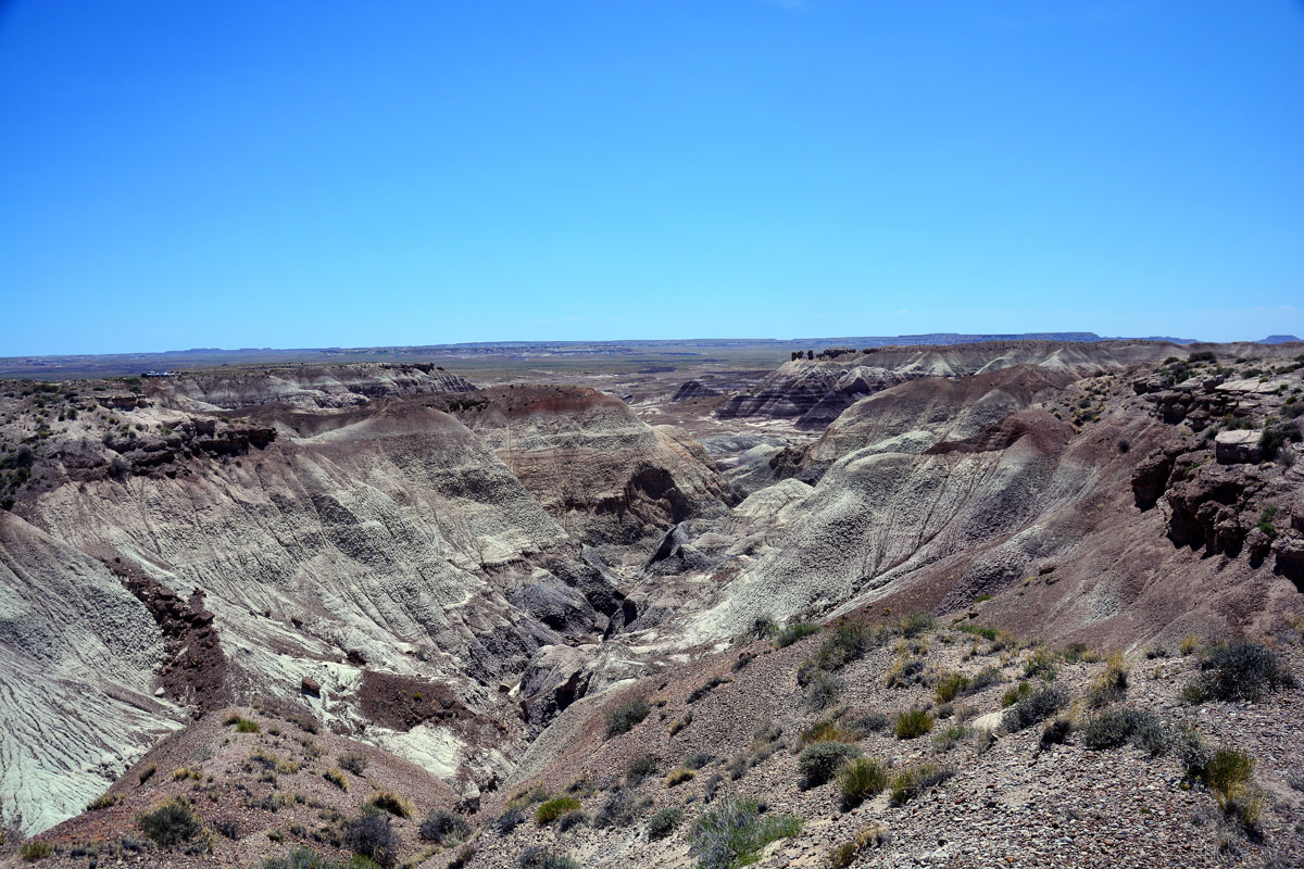 2016-06-03, 084, Petrified Forest, Blue Mesa