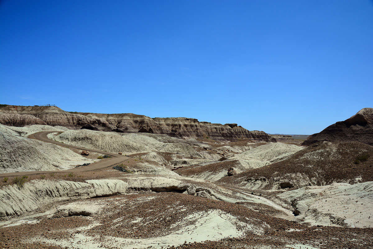 2016-06-03, 089, Petrified Forest, Blue Mesa
