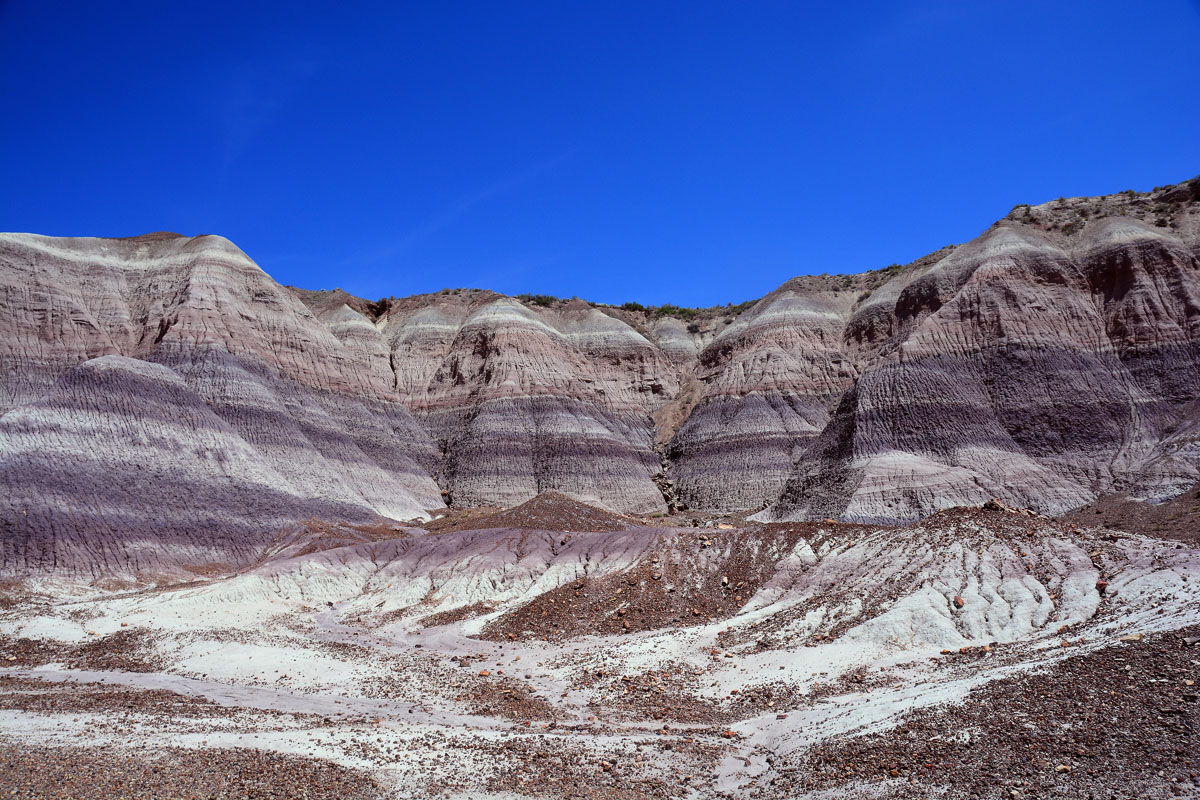 2016-06-03, 093, Petrified Forest, Blue Mesa