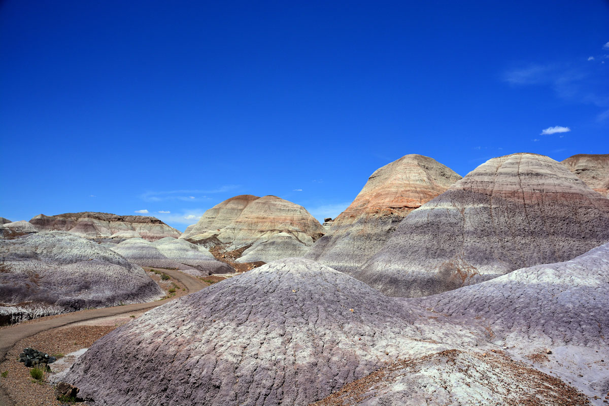 2016-06-03, 098, Petrified Forest, Blue Mesa
