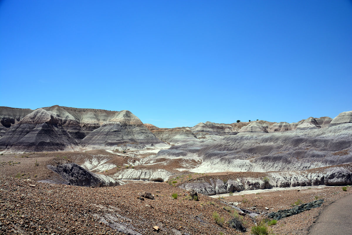 2016-06-03, 099, Petrified Forest, Blue Mesa