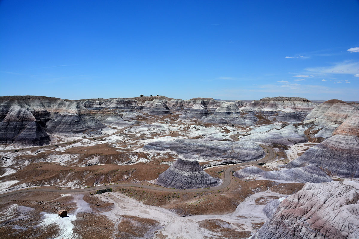 2016-06-03, 102, Petrified Forest, Blue Mesa
