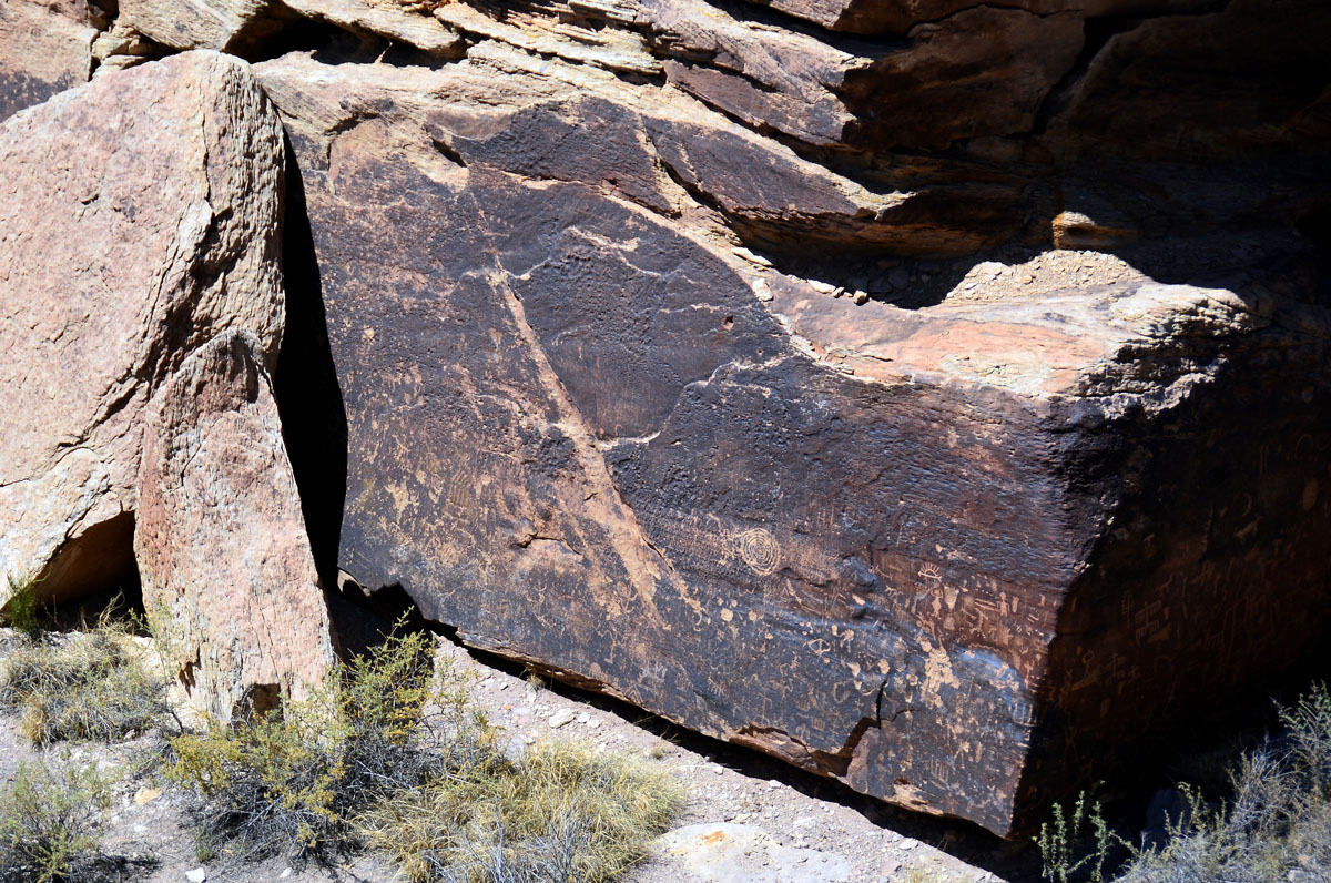 2016-06-03, 106, Petrified Forest, Newspaper Rock