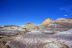 2016-06-03, 098, Petrified Forest, Blue Mesa