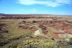 2016-06-03, 134, Petrified Forest, Painted Desert