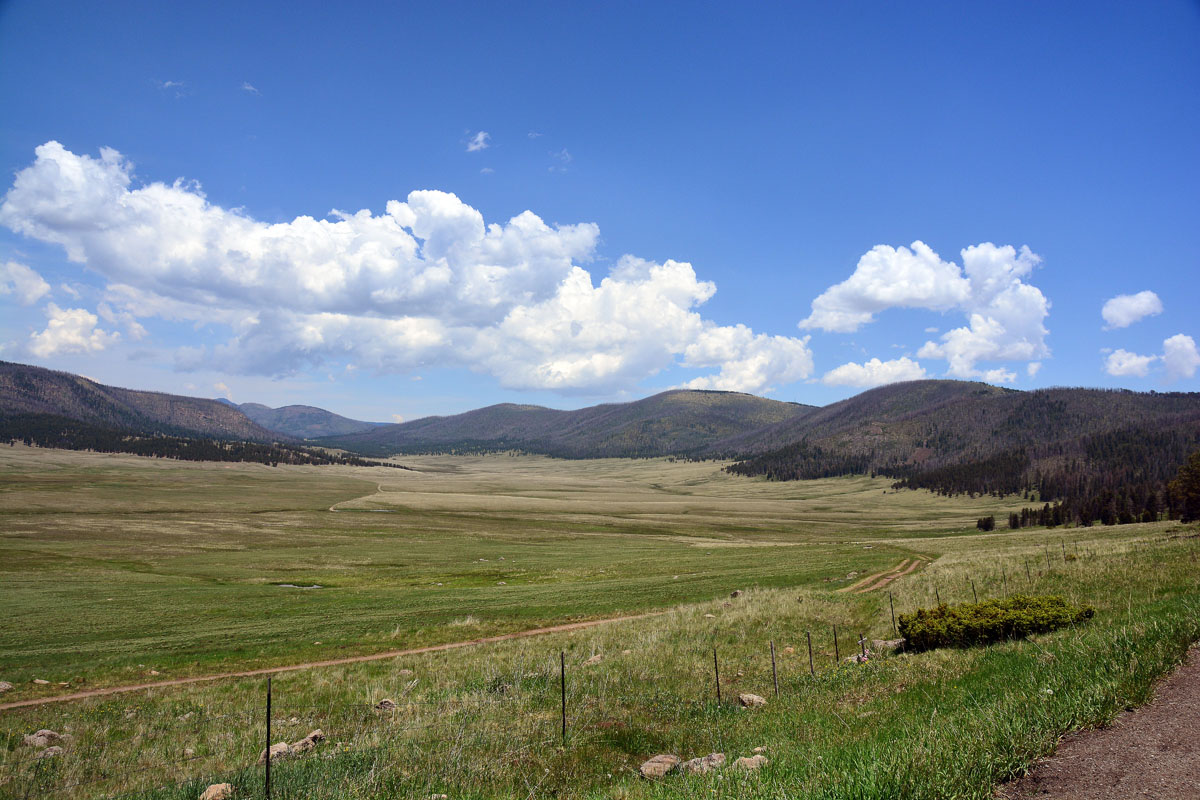 2016-06-07, 002, Jemez Mtn Nat Scenic Byway
