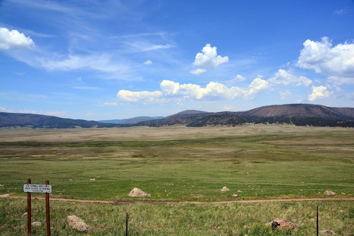 2016-06-07, 003, Jemez Mtn Nat Scenic Byway