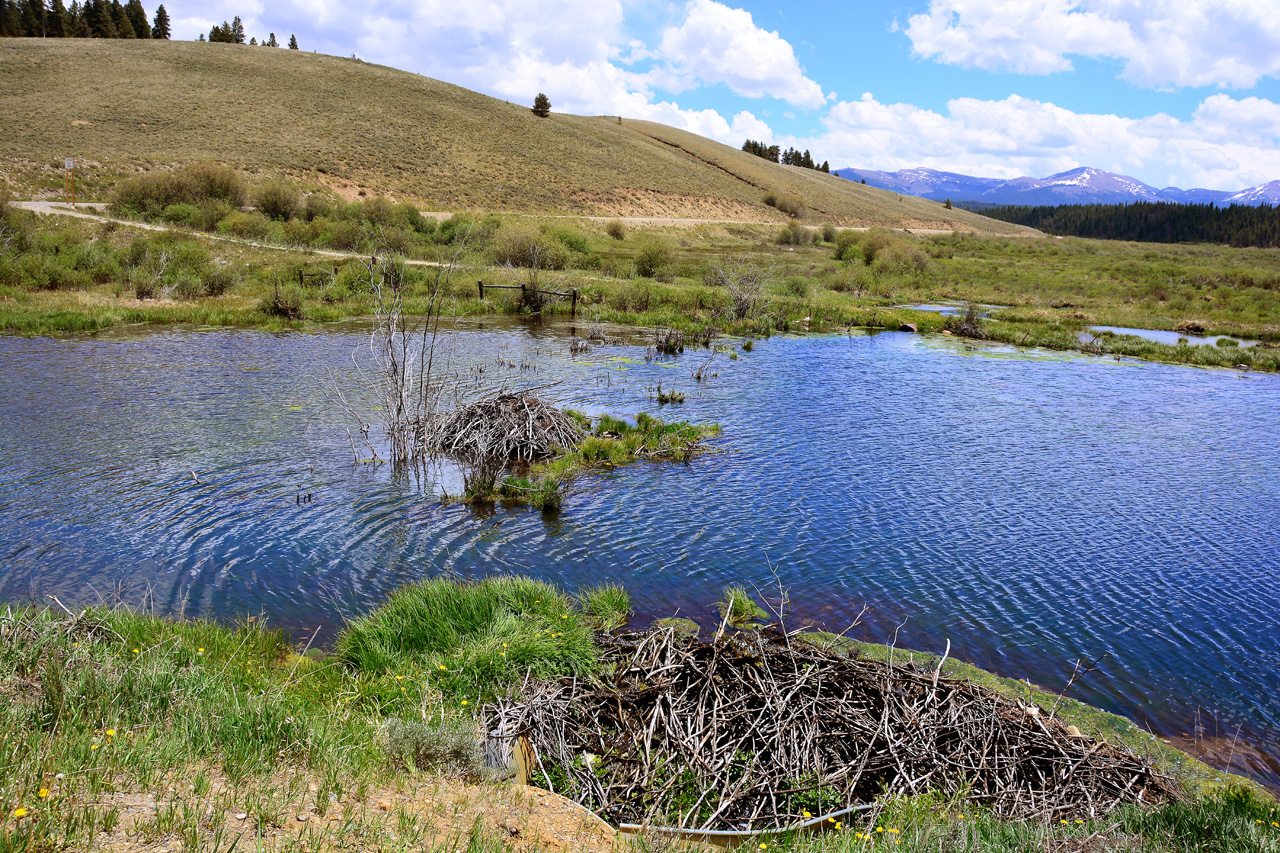2016-06-10, 009, Along the way, CRt742, CO