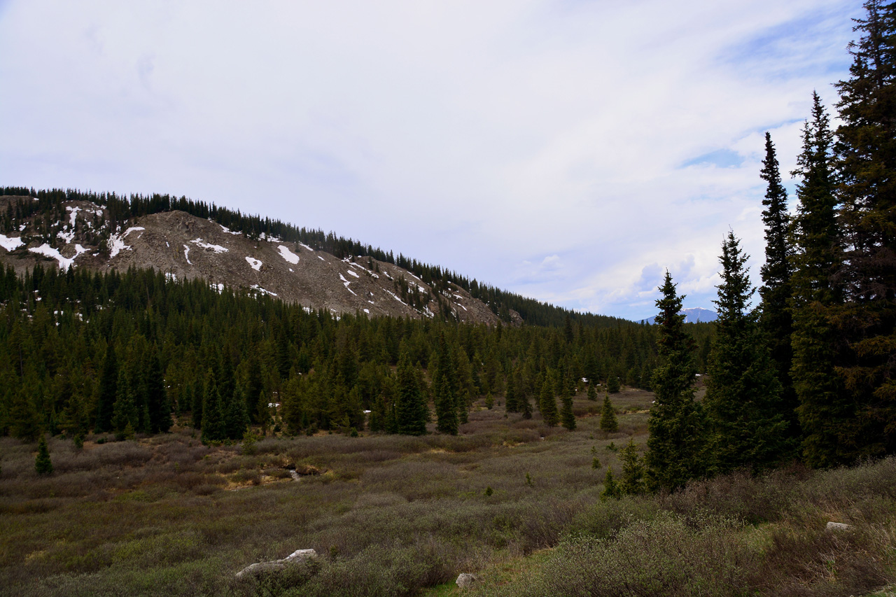 2016-06-12, 004, Cottonwood Pass, CO