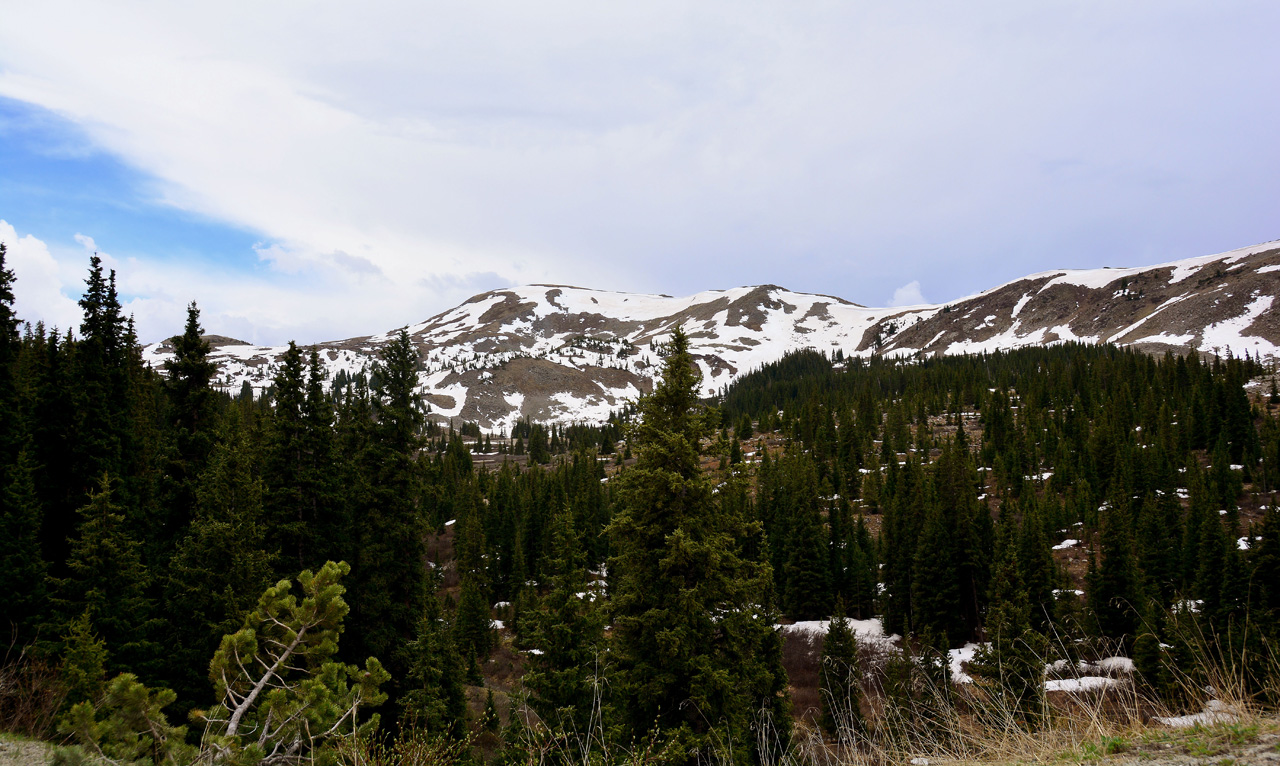 2016-06-12, 005, Cottonwood Pass, CO