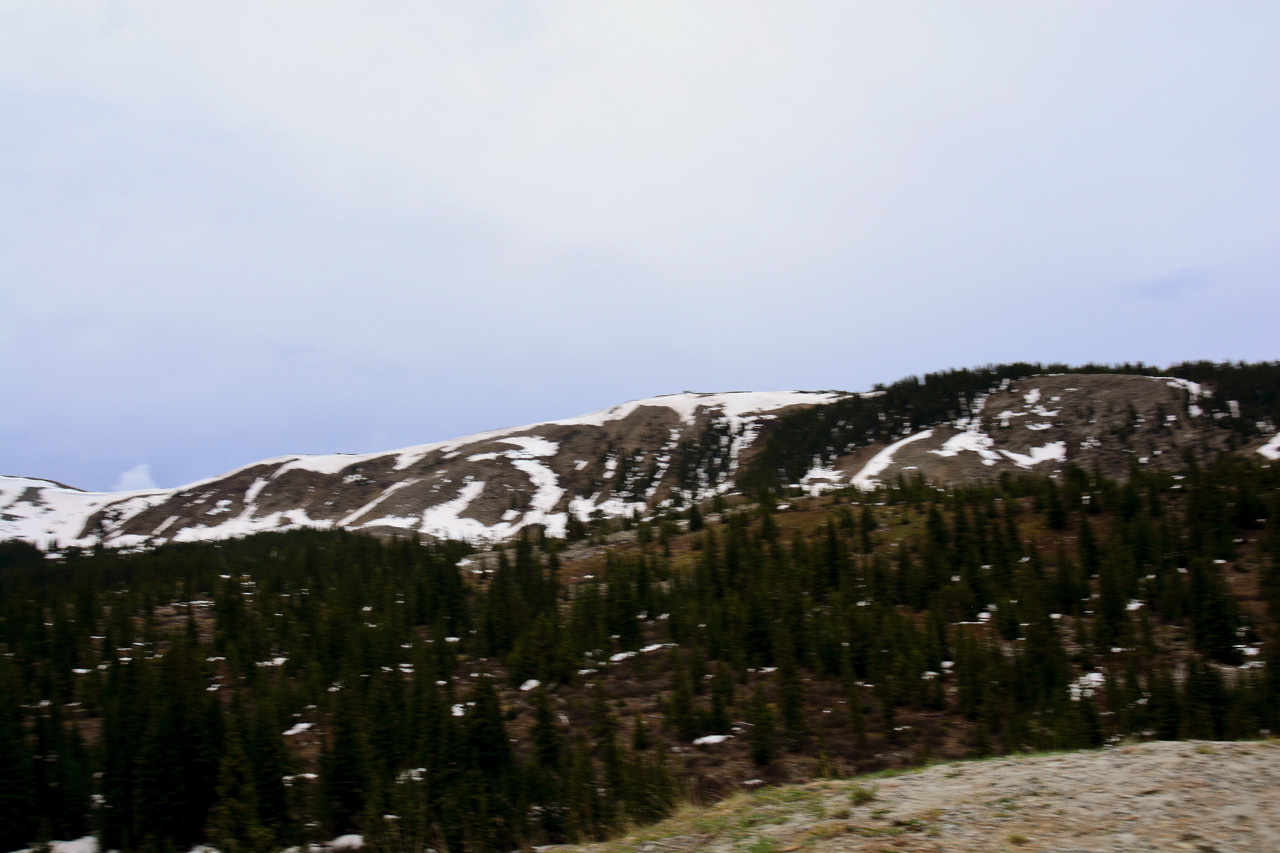 2016-06-12, 008, Cottonwood Pass, CO