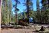 2016-06-10, 002, Lottis Creek CG, Gunnison, CO