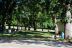 2016-07-25, 002, Wild Turkeys at Campground