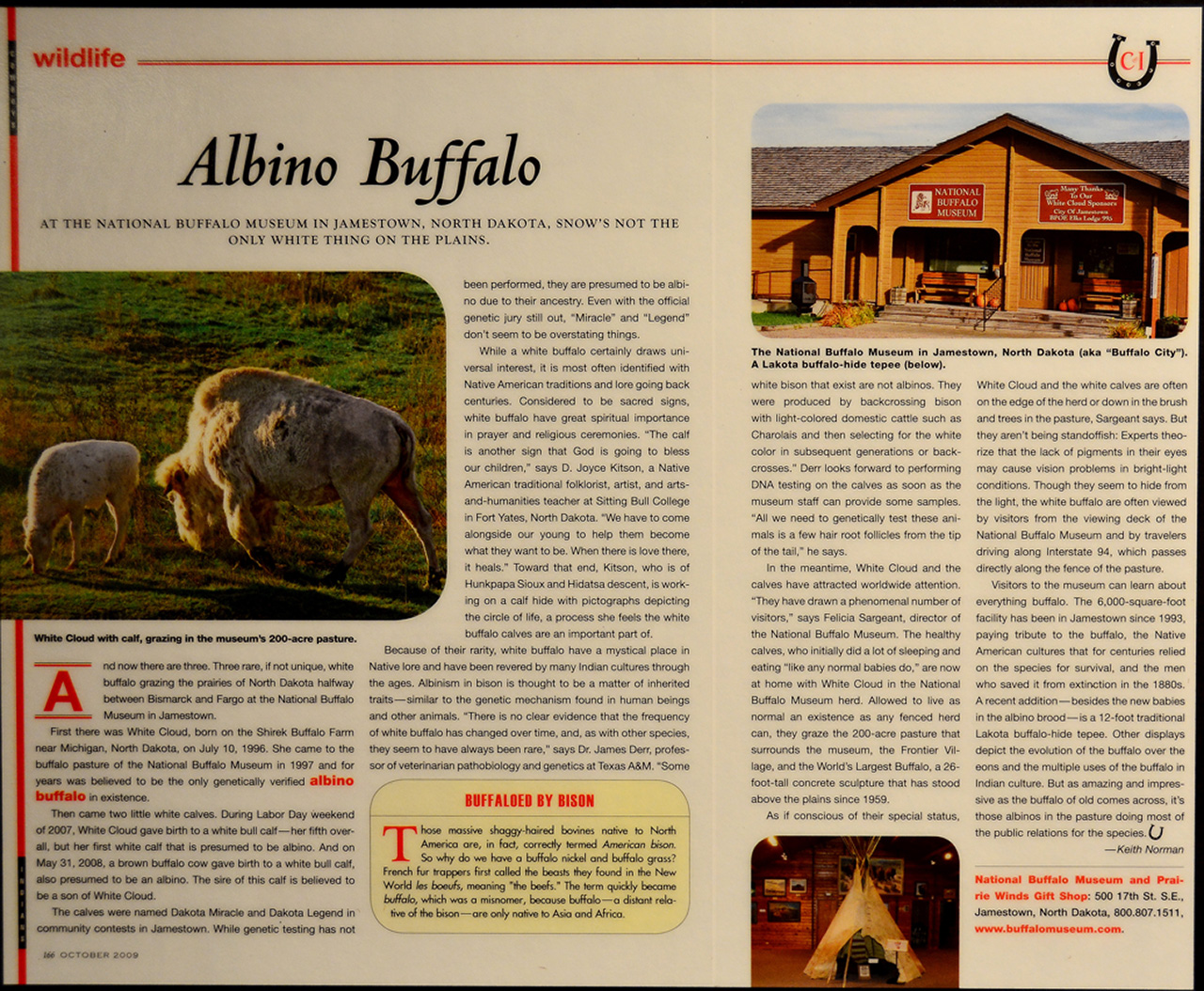 2016-08-02, 004, National Buffalo Museum