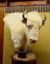 2016-08-02, 006, National Buffalo Museum