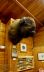 2016-08-02, 011, National Buffalo Museum