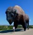 2016-08-02, 038, World's Largest Buffalo