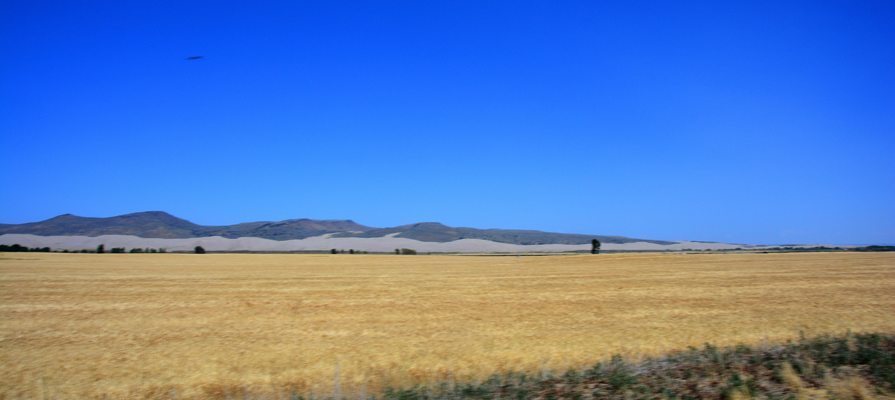 2016-08-09, 007, St Anthony Sand Dunes, ID