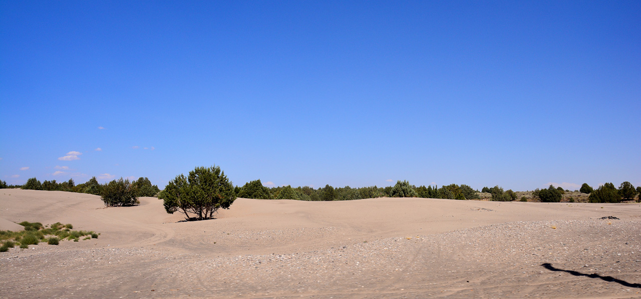 2016-08-09, 017, St Anthony Sand Dunes, ID