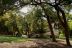 2016-09-10, 004, Bear Creek CG, Lake Benbrook, TX