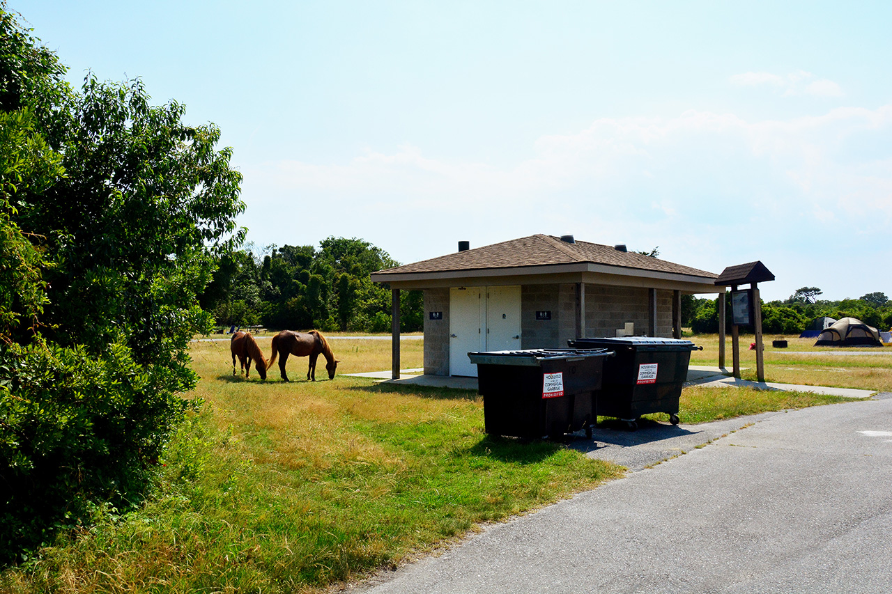 2017-06-12, 001, Horses at Bath House