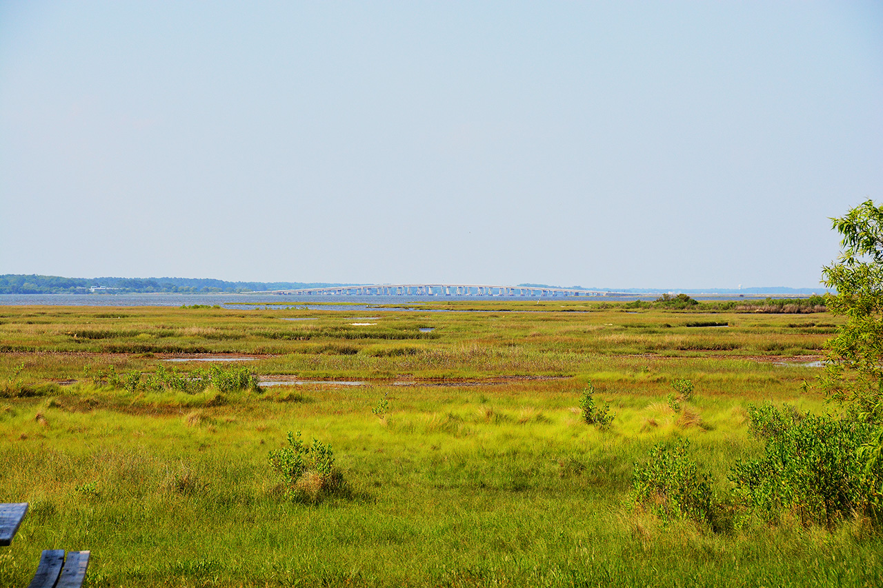 2017-06-12, 006, Bridge across the Bay