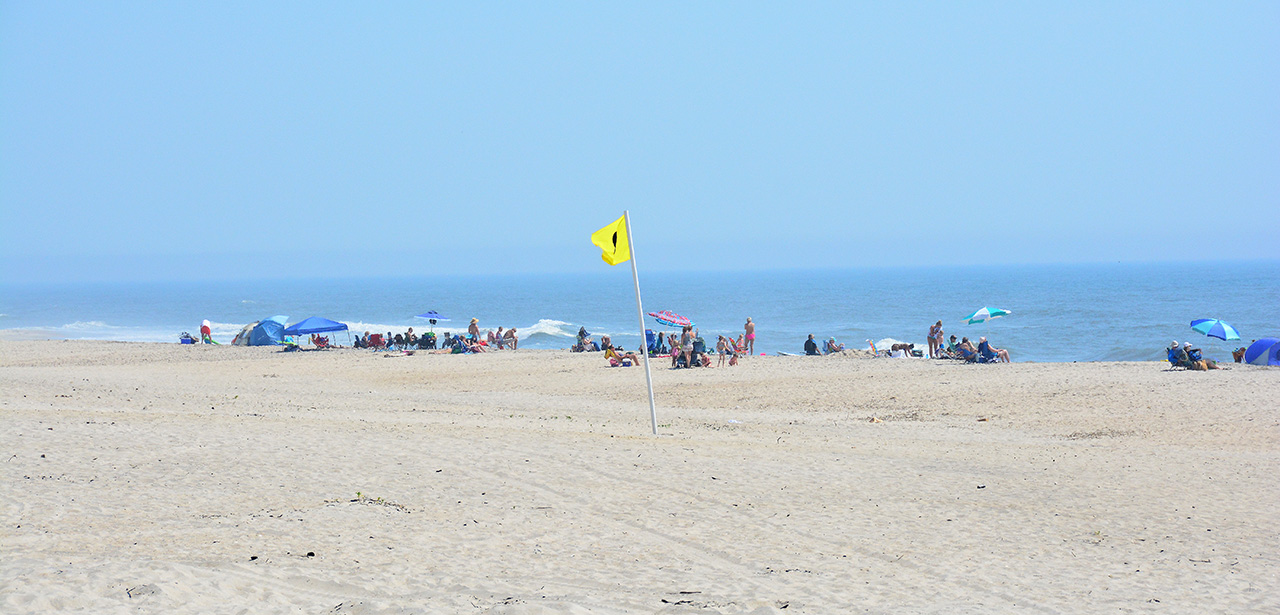 2017-06-13, 012, The Beach at Assateague Island